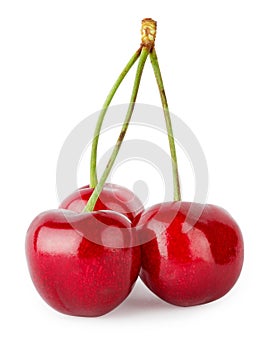Three ripe cherries on the handle