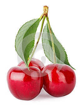 Three ripe cherries with leaves