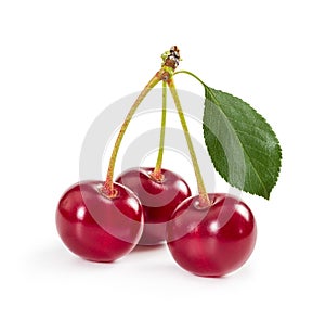 Three ripe cherries on stem with leaf isolated on white background.