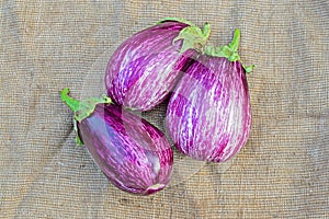 Three ripe eggplants on a sacking background