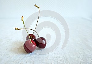 Three Ripe Fresh Red Cherries together on a white background in a summer day