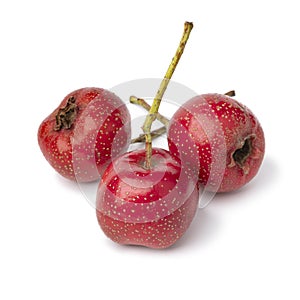 Three ripe fresh red hawthorne berries close up on white background