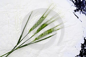 Ripe ears of wheat bread lying on a background of white cr