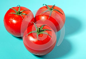 Three ripe greenhouse tomatoes with green stems