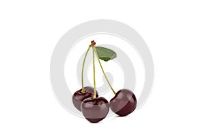 Three ripe juicy cherries with a leaf isolated on a white background.