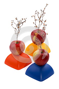 Three ripe red apples with a plant similar to a tree on a yellow, red and blue figure.