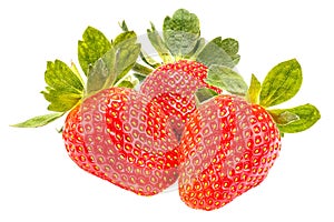 Three ripe red strawberries with green leaves isolated on a white background