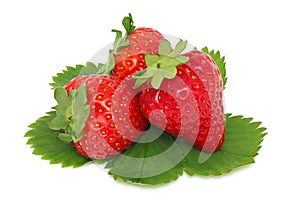 Three ripe strawberries with green leaves (isolated)