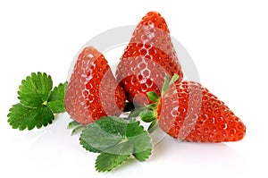 Three ripe strawberries leaves