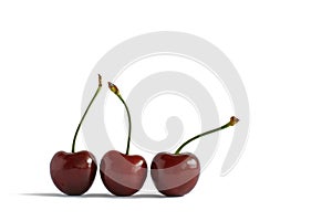 Three ripe sweet cherries