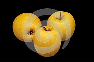 Three ripe yellow apples on a black background