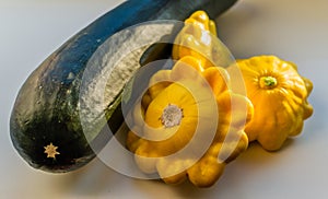 three ripe yellow squash and green zucchini lie on a white backdrop in light of sun