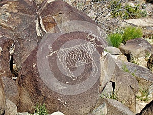 Three Rivers Petroglyph Site