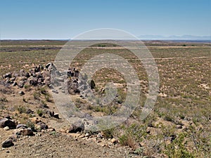 Three Rivers Petroglyph Site