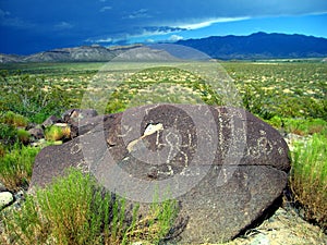 Three Rivers Petroglyphs, New Mexico