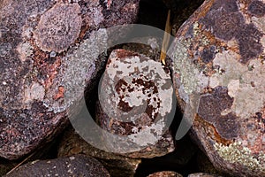 Three rocks in dark rosy colours. One little between two big ones.