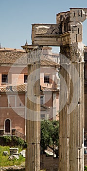 Three Roman Columns