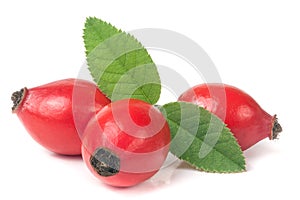 Three rose hip berry with leaf isolated on white background photo