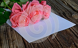 Three roses in corner over paper