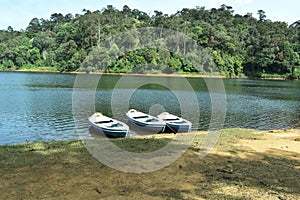 Three roving boat on forest lake side