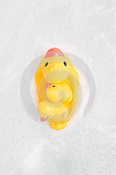 Three rubber ducks in foam water