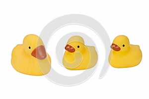Three Rubber Ducks - Isolated