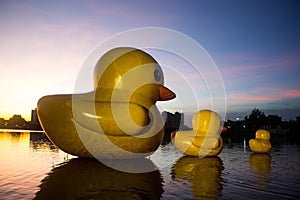 three rubber ducks in Nong Prajak, Udon Thani,Thailand in evening