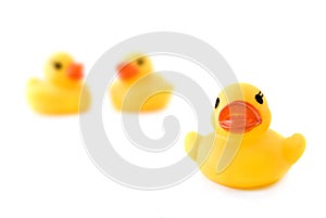 Three rubber yellow ducks