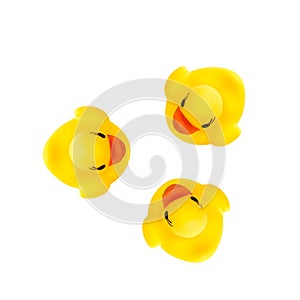 Three rubber yellow ducks isolated on white