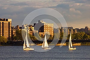 Three Sailboats on the Charles River