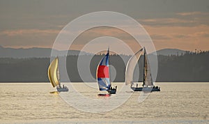 Three Sailboats racing to the finish line on Puget Sound