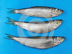 Three salt fish herring on a blue background.