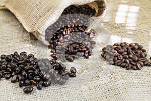 Three samples pure Arabica coffee beans of various origins