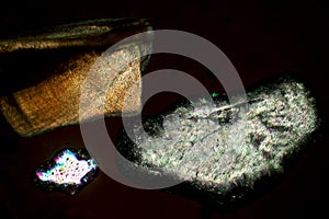 Three sand grains from Caspersen Beach, Venice, Florida.