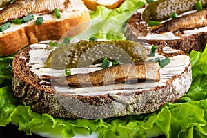 Three sandwiches with sprots and cucumber on lettuce leaves