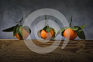 Three satsumas with leaves