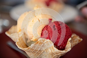 Three Scoops of Ice Cream in Cornet Bowl