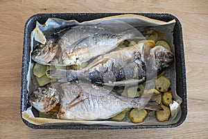 Three sea breams with potatoes baked in a pan