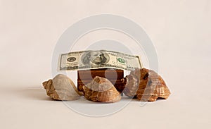 Three seashells are on the table with a casket. On the box is a hundred dollar bill
