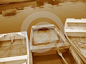Three Sepia Rowboats photo
