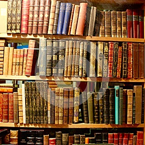 Three shelves of old pretty books