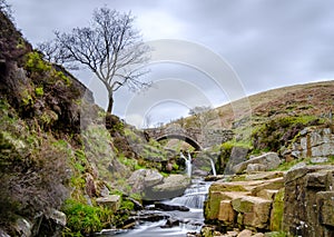 Three Shires Head