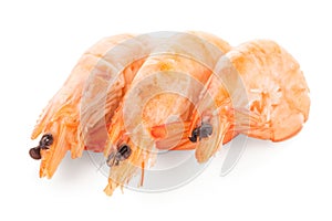 Three shrimps