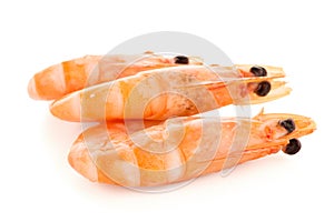Three shrimps