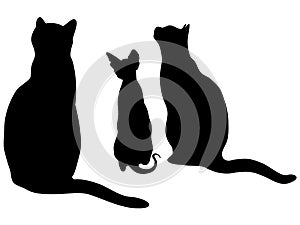 Three silhouettes of the black cats sitting. Sphynx cat vector silhouette. Realistic cats contour for logo or icon isolated on