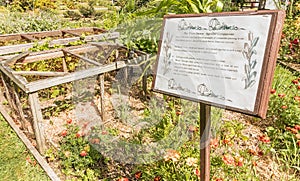 Three sisters garden and interpretive sign in vegetable garden