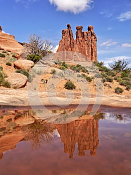 Three Sisters rock reflection