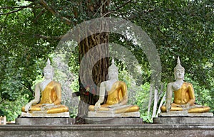 Three Sitting budda statue