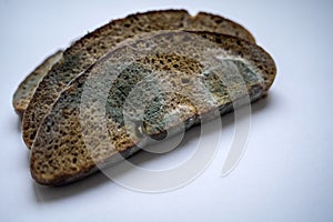 Three slices of rye bread with white and black mold