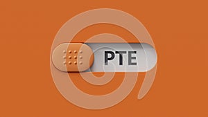 Three slide switch spelling with the letters PTE.